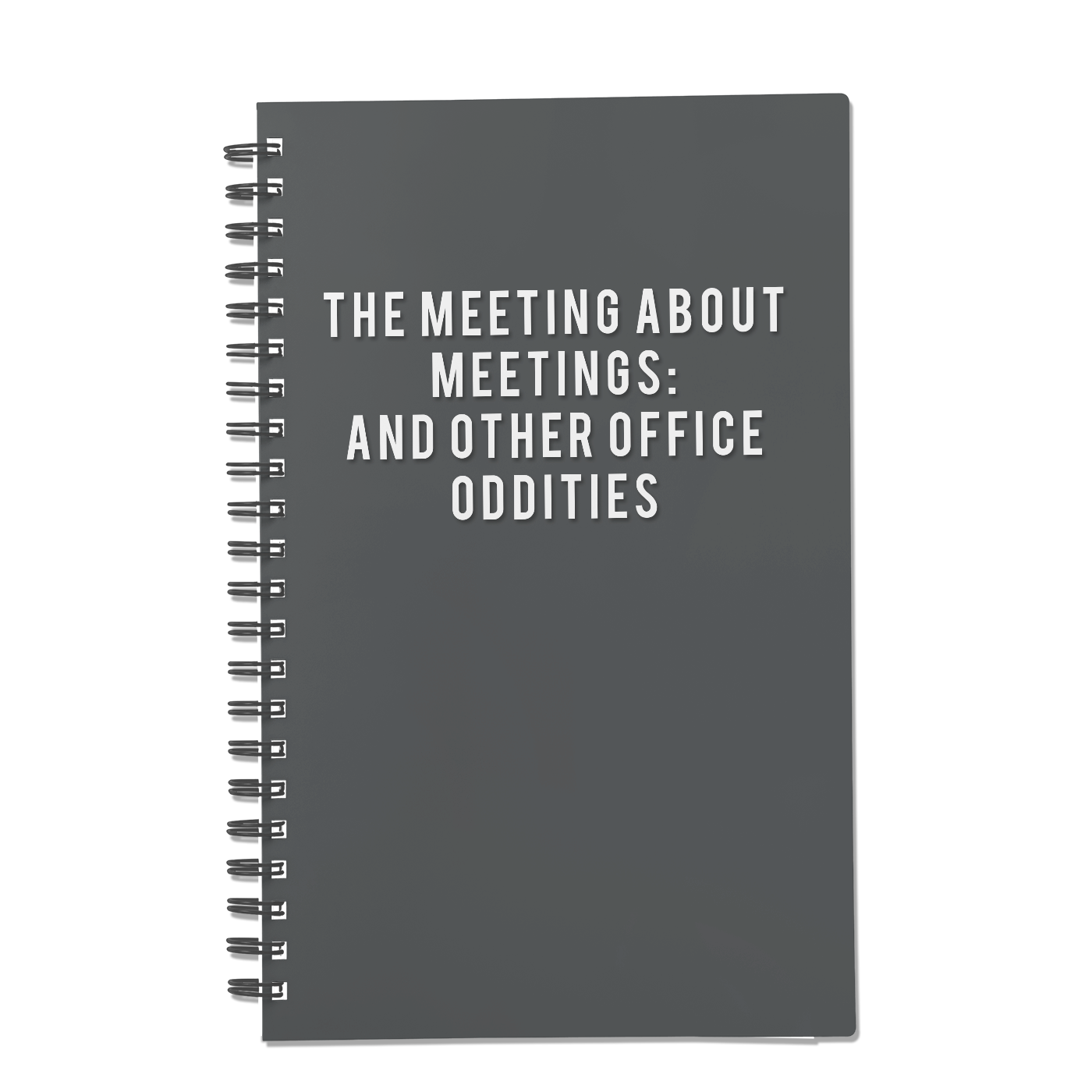 The Meeting About Meetings: And Other Office Oddities