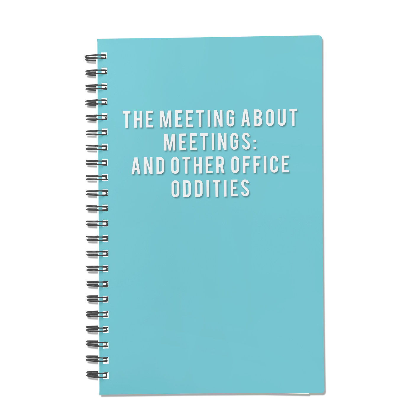 The Meeting About Meetings: And Other Office Oddities