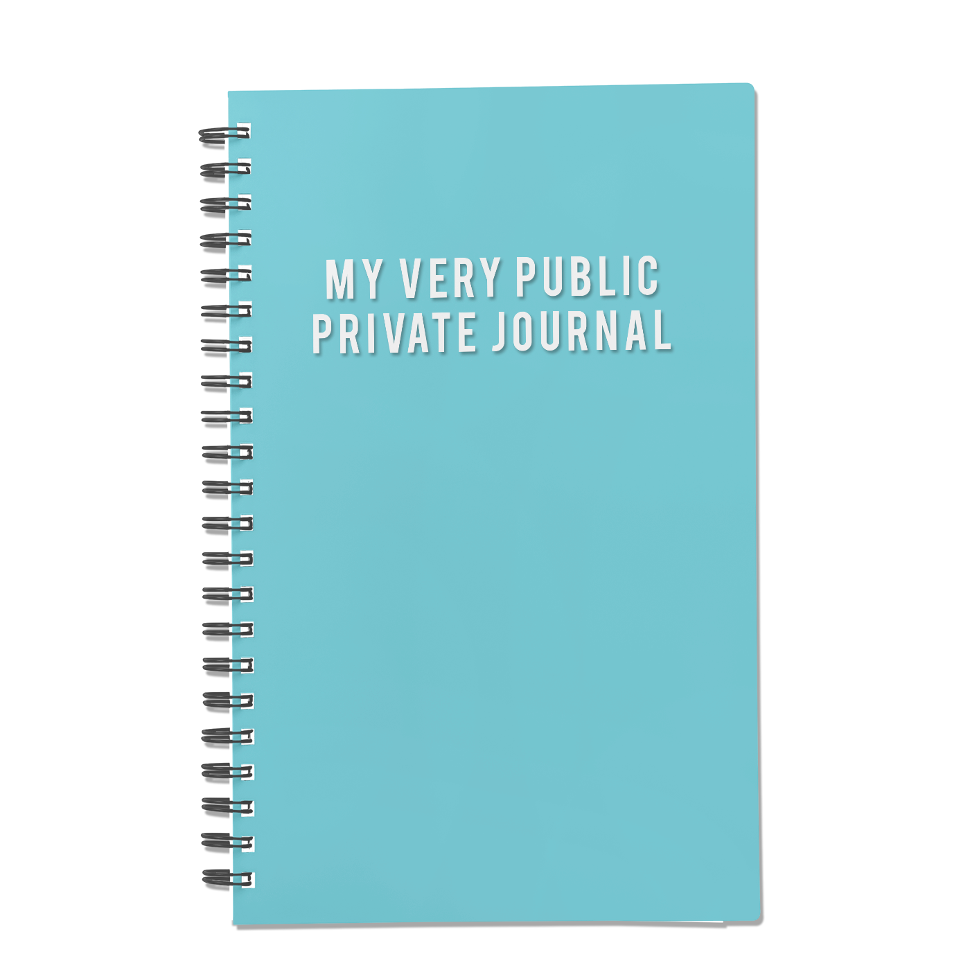 My Very Public Private Journal