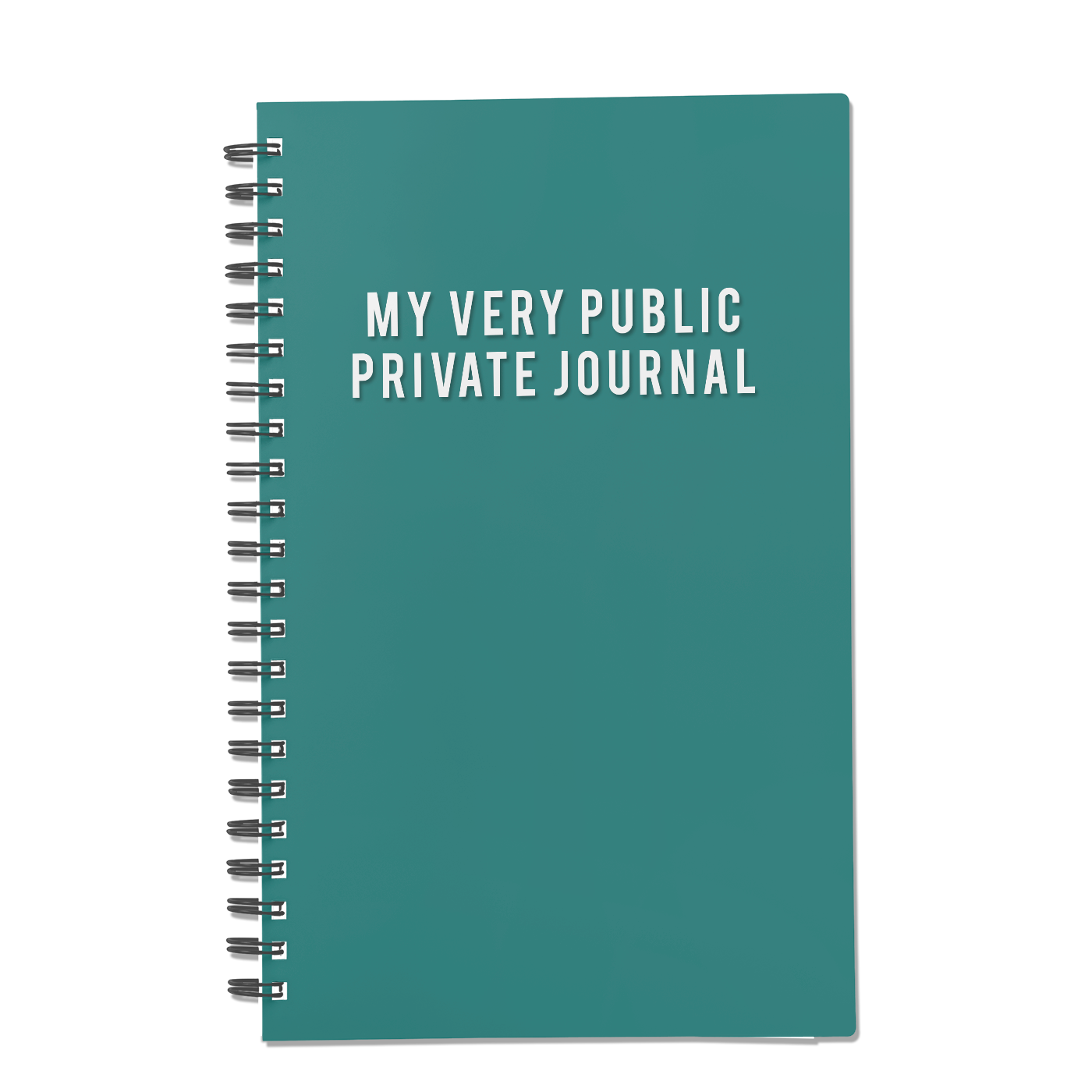 My Very Public Private Journal