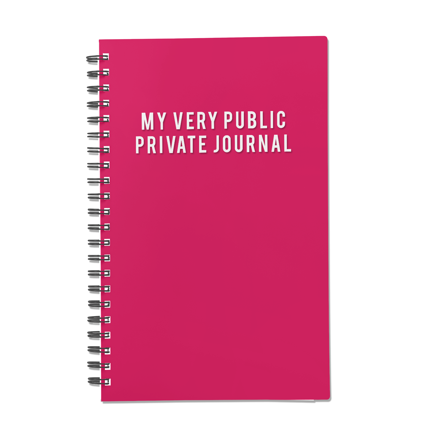 My Very Public Private Journal