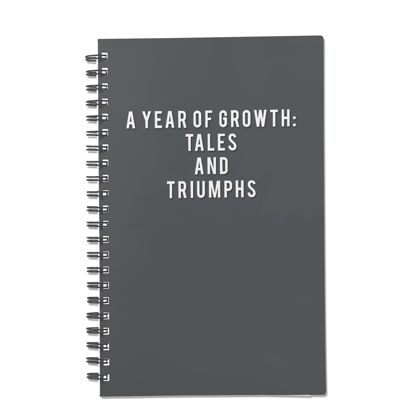 A Year of Growth: Tales and Triumphs