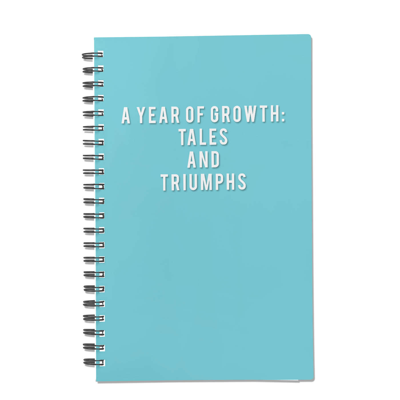 A Year of Growth: Tales and Triumphs