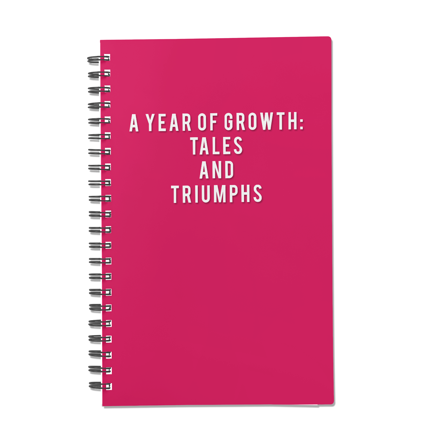 A Year of Growth: Tales and Triumphs