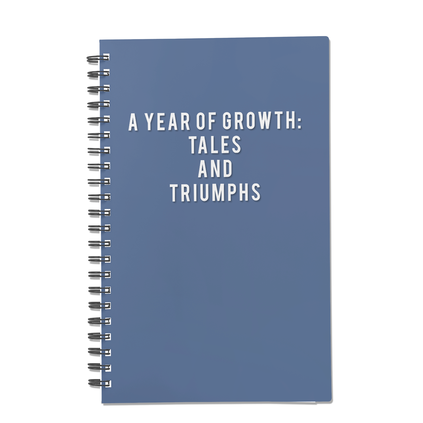 A Year of Growth: Tales and Triumphs